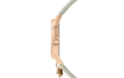 Brand new ladies Radley quartz watch RY21456